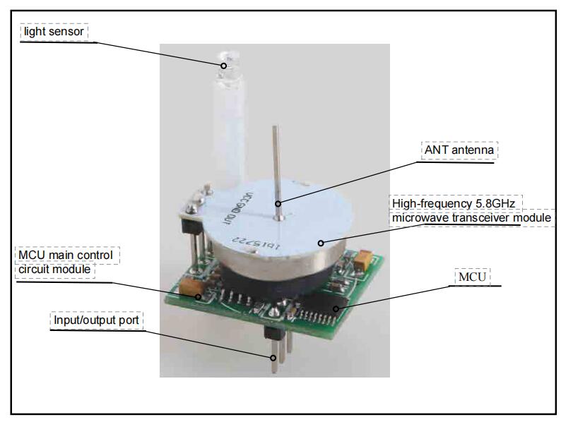 Figure 1 Schematic diagram of the product