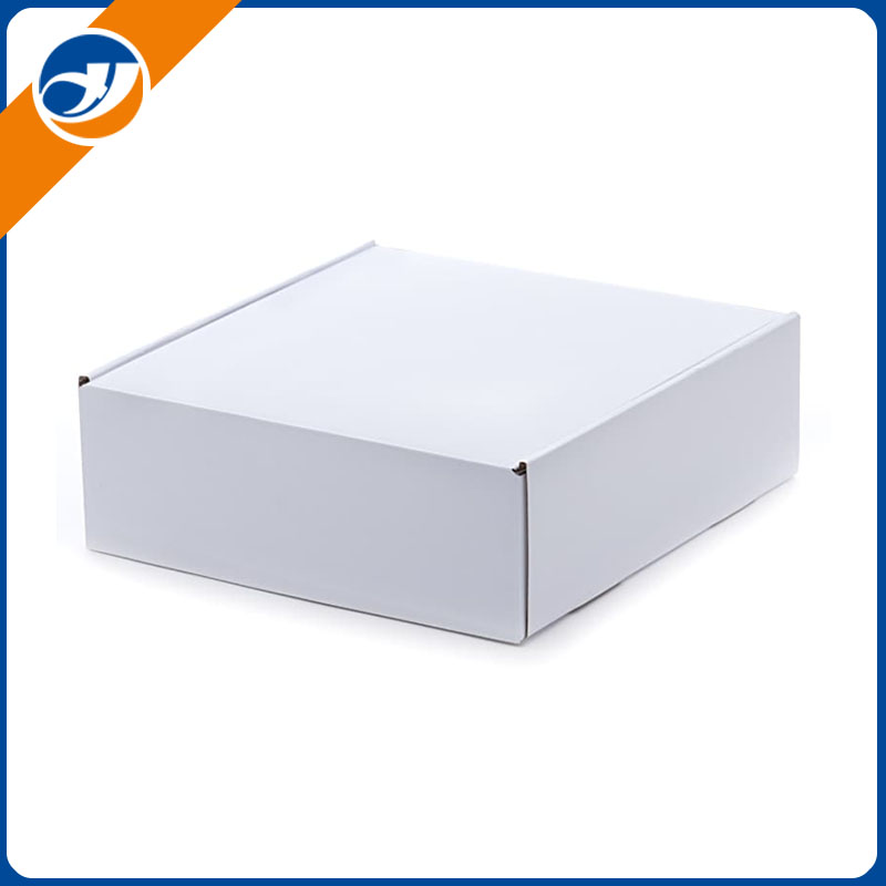 Express Delivery Corrugated Box