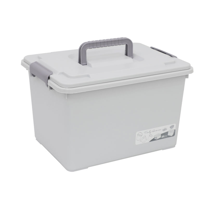 Storage Organizer Bins With Latching Handle And Lids - 1 