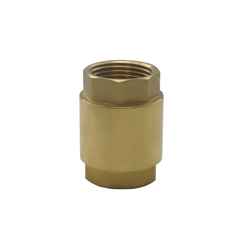 Brass check valve