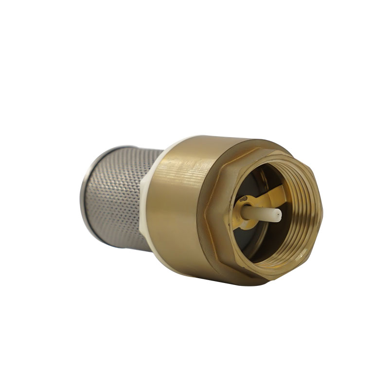 Brass check valve