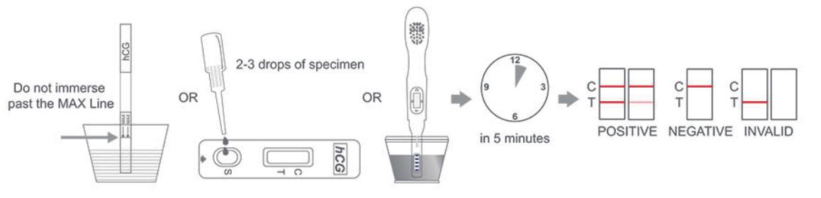 Urine Serum hCG Pregnancy Test Strip
