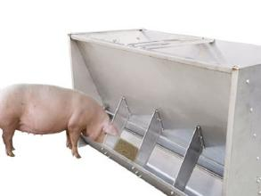 Double-sided stainless steel pig feeder.
