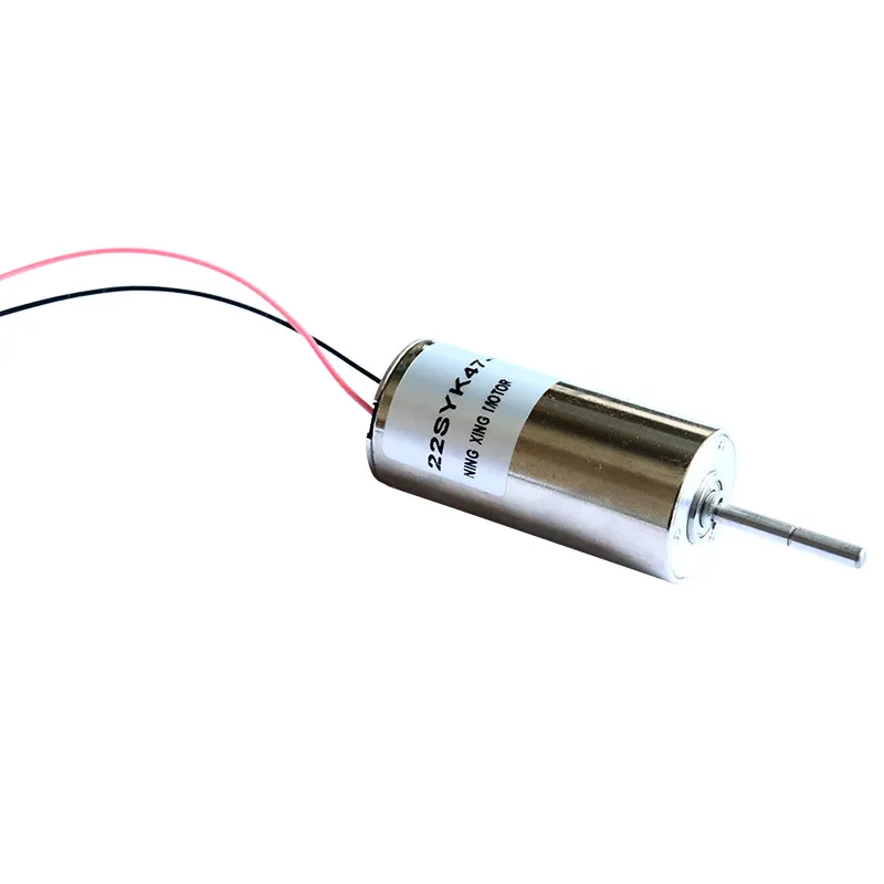 22mm Carbon Brush DC Motor