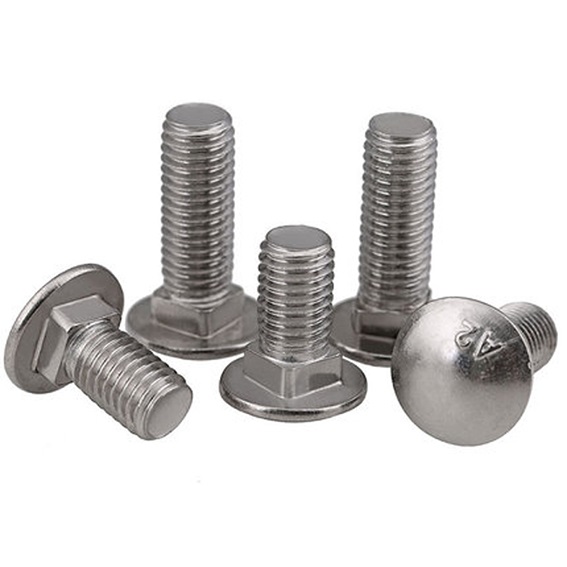 Types and functions of bolts
