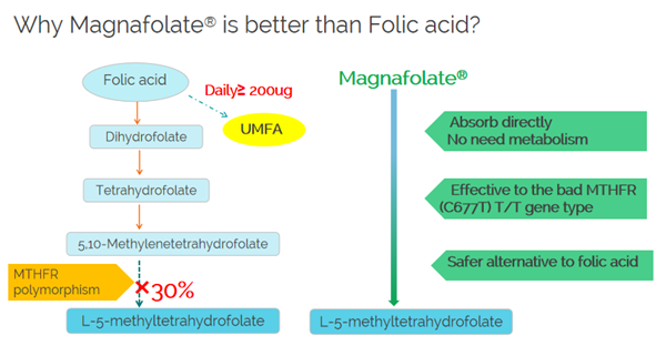 Why Magnafolate is better than folic acid?