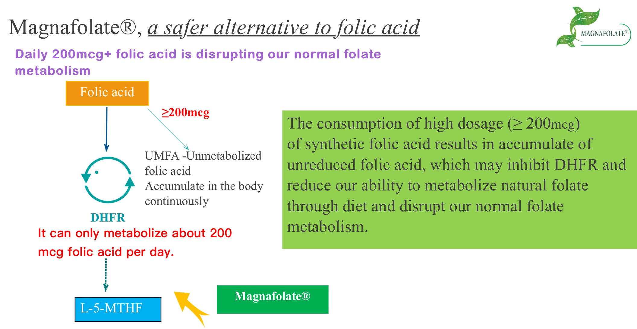 Magnafolate, A Safer Alternative to Folic Acid