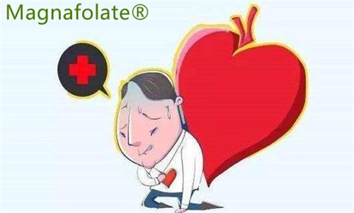 L-5-metilfolato: puede reducir el riesgo de accidente cerebrovascular y ataque cardíaco