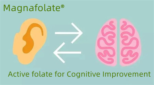 Folato activo para la mejora cognitiva