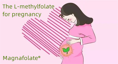 The L-methylfolate for pregnancy people
