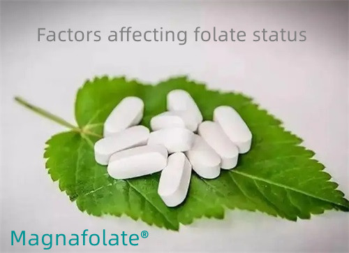 Several factors affecting folate status