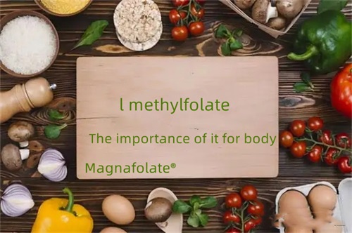 The importance of l methylfolate for body
