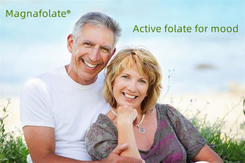The older people dementia with folate