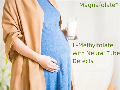 Folate, L-Methylfolate with Neural Tube Defects