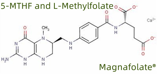 V-MTHF et L-Methylfolate