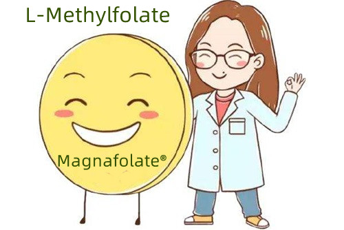 ແຫຼ່ງເສີມຂອງອາຊິດໂຟລິກ ແລະ L-Methylfolate