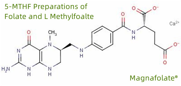 5-MTHF آماده سازی فولات و L Methylfoalte