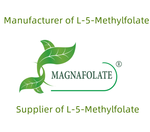 Siapa yang memproduksi L-methylfolate?