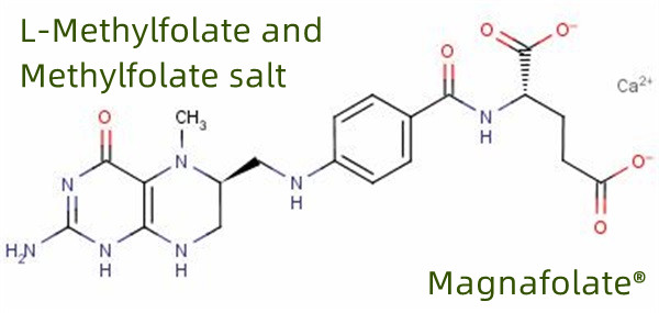 Παγκόσμιος Κατασκευαστής & Προμηθευτής L Methylfolate