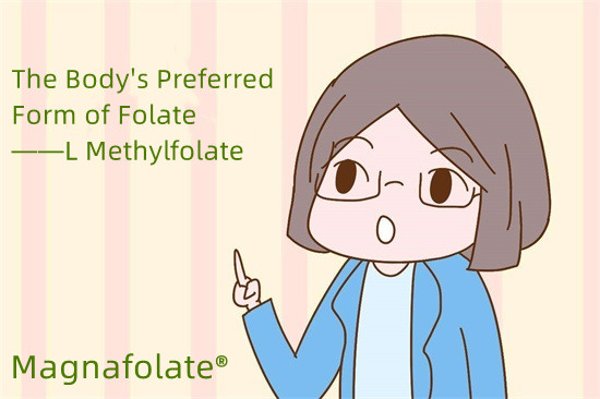 The Body's Preferred Form of Folate