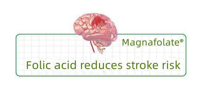 Folic acid reduces stroke risk