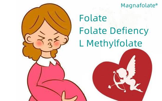 Folate and Folate defiency