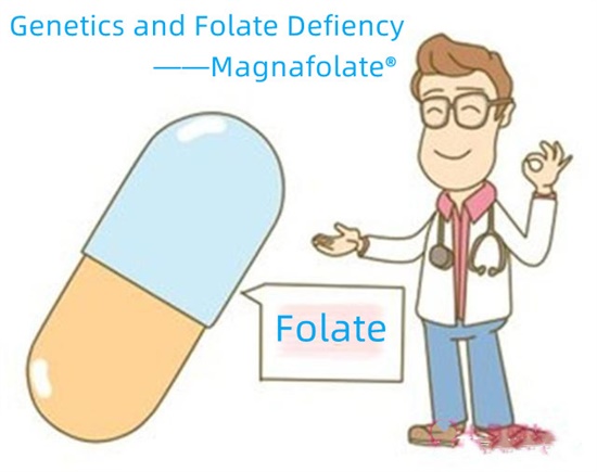 Genetics and Folate Defiency-Magnafolate