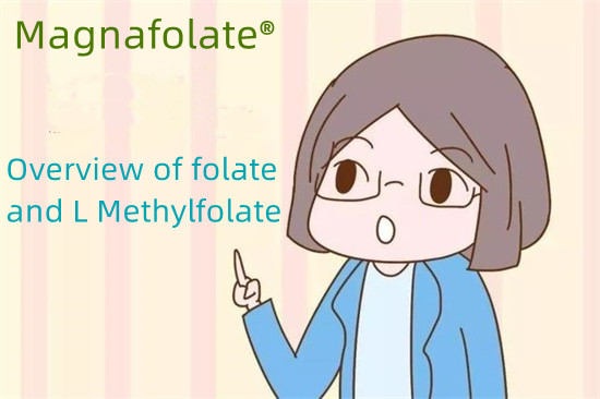 Overview of folate and L Methylfolate