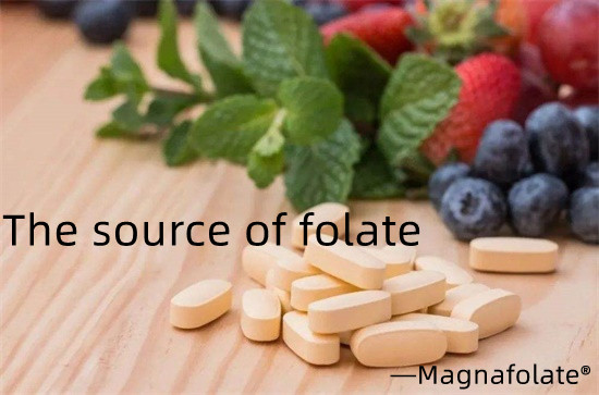 The source of folate and folic acid