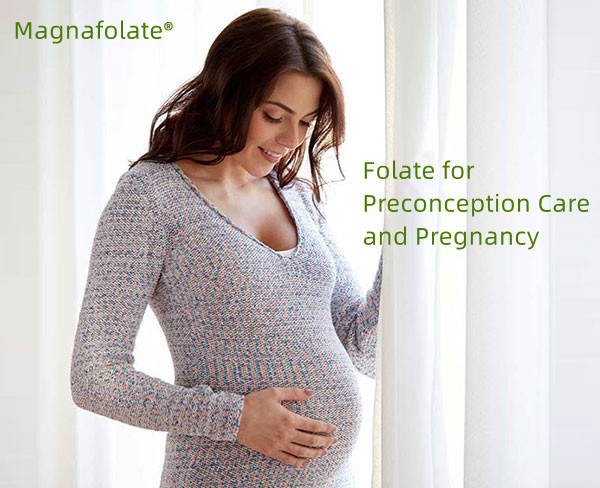 Why is folate especially important for individuals who can become pregnant?
