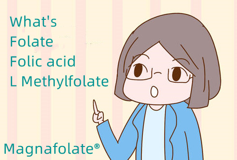 What is folate and folic acid and L Methylfolate?