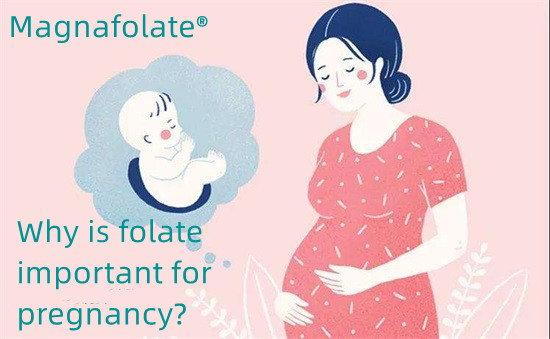 Why is folate important for pregnancy?