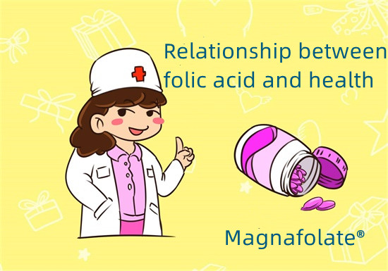 Relationship between folic acid and health