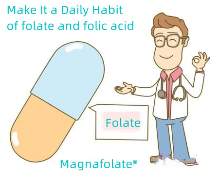 Folic Acid and Folate: Make It a Daily Habit