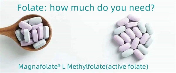 Folate: how much do you need?