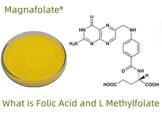 What is folate-folic acid-L Methylfolate?