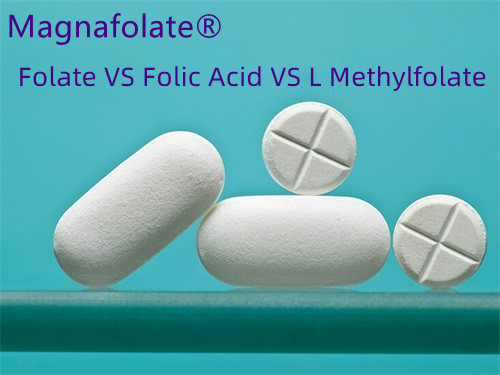 What's the difference between folate and folic acid?