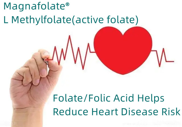 Folate/Folic Acid Helps Reduce Heart Disease Risk