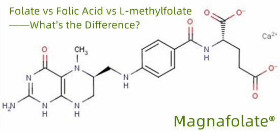 Folate vs Folic Acid vs L-methylfolate--What's the Difference