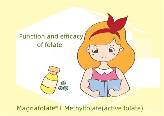 What are the functions of folate?