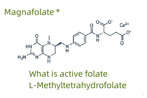 What is active folate and L-Methyltetrahydrofolate