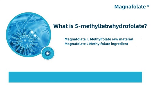 What is 5-methyltetrahydrofolate?