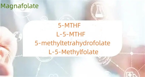 What is the difference between 5-methyltetrahydrofolate and folate
