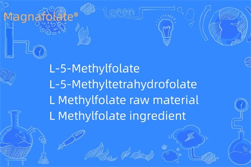What does L Methylfolate do?