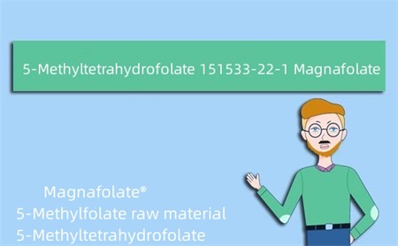 5-Methyltetrahydrofolate 151533-22-1 Magnafolate