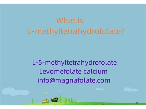 5-methyltetrahydrofolate के हो?