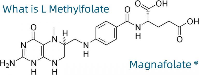 L-5-Methyltetrahydrofolate क्याल्सियम CAS No.:151533-22-1