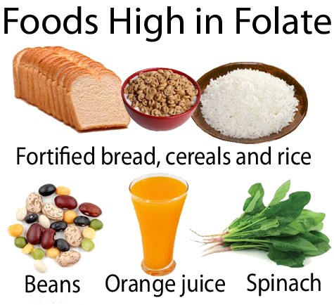 Klasifikace folátů - dietní folát