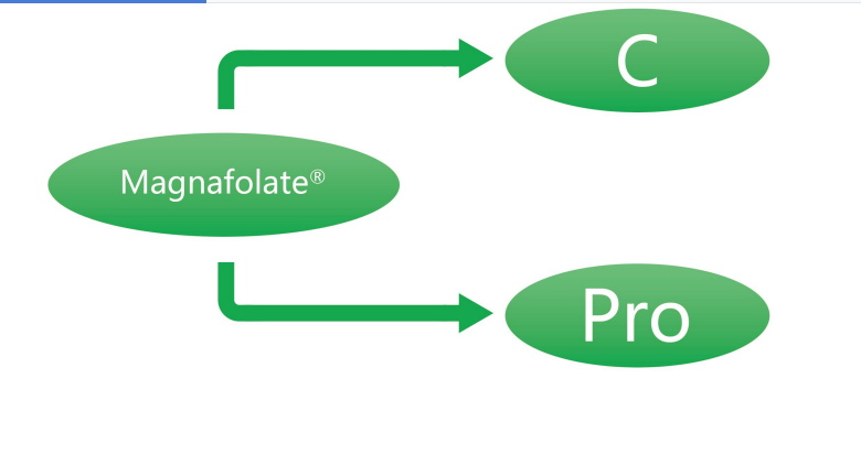 Magnafolate C et ProâL-Methylfolate Calcium
