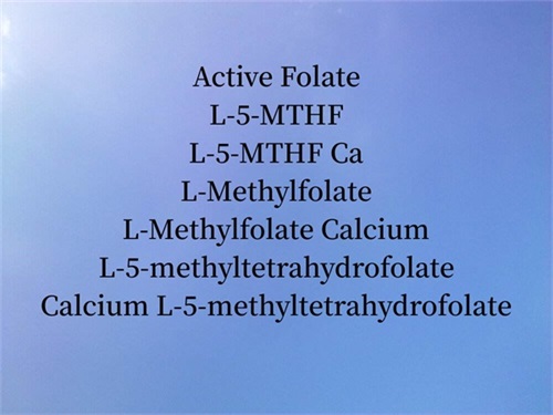 Was ist aktives Folat?